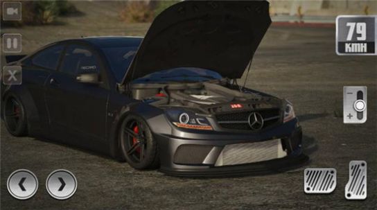 C63停車(chē)專(zhuān)家截圖(3)