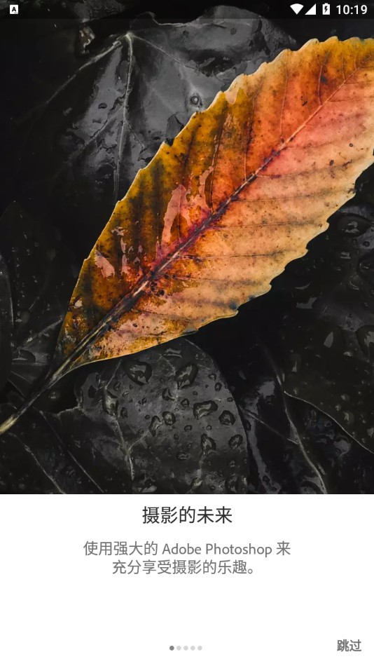 Lightroom手機(jī)版截圖(3)