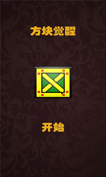 方塊覺醒截圖(1)