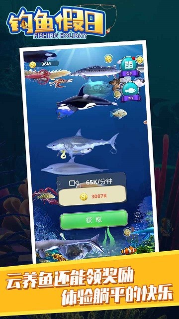 釣魚(yú)假日截圖(4)