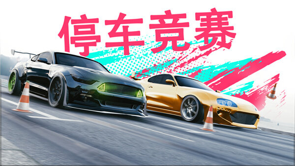 真實(shí)泊車2截圖(4)