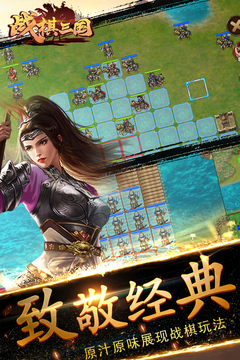 戰(zhàn)棋三國截圖(4)