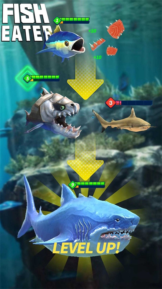 鯊魚進(jìn)化論無限鉆石版截圖(1)