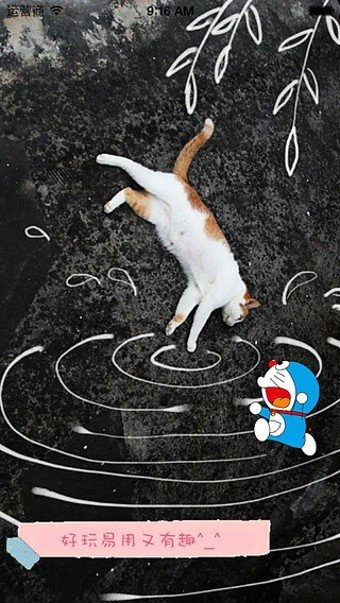 Funny截圖(3)