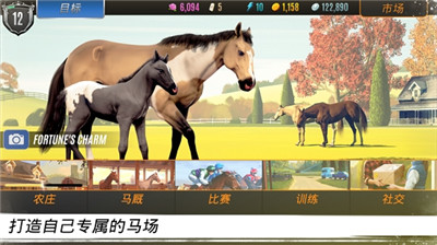 家族傳奇：馬匹養(yǎng)成競技截圖(3)