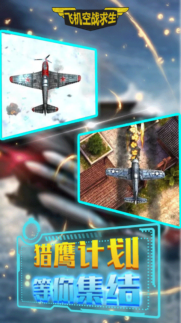 飛機(jī)空戰(zhàn)求生截圖(1)