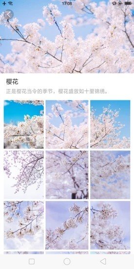 大腳壁紙截圖(2)