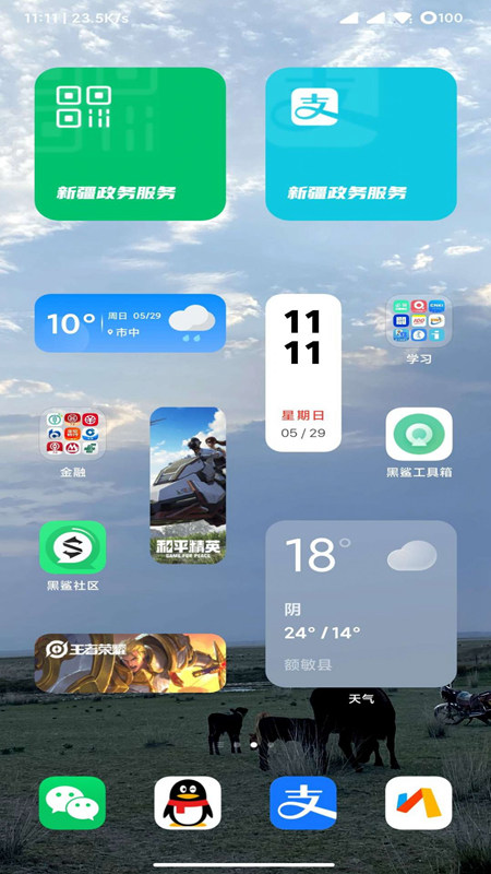 黑鯊刷機(jī)助手截圖(1)