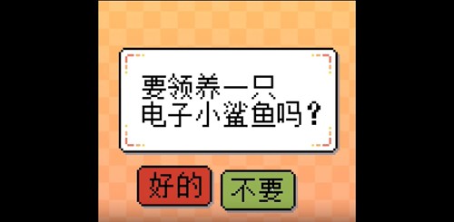 我的小鯊魚(yú)截圖(1)