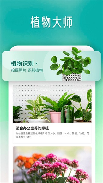 植物大師截圖(1)