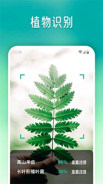 植物大師截圖(2)