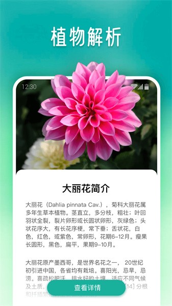 植物大師截圖(3)