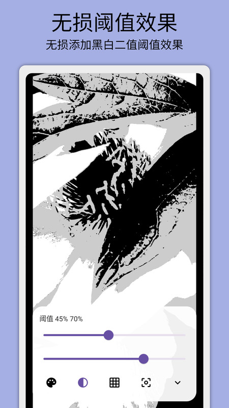 灰閾相機(jī)截圖(3)