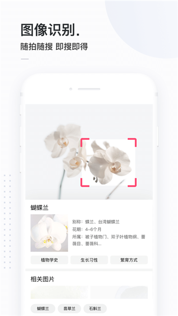 簡單搜索免費版截圖(3)