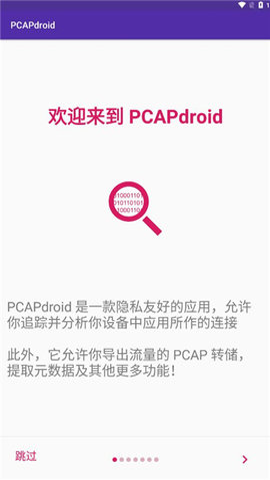 pcapdroid截圖(2)