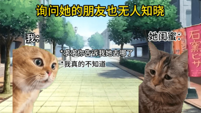 貓meme搞怪冒險截圖(1)