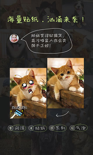 萌寵相機(jī)截圖(3)