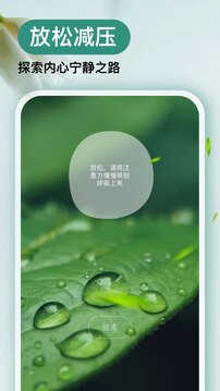 Now冥想截圖(4)