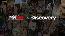 《末日喧囂》圣誕節(jié)限定活動開啟！同步釋出Discovery合作TVC和全新CG