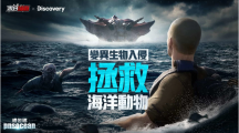 《末日喧囂》×Discovery頻道「世界海洋日」限定活動開啟，海洋危機TVC同步釋出！