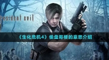 《生化危機4》偷盤哥梗的意思介紹