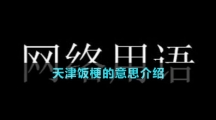 天津飯梗的意思介紹