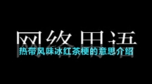 熱帶風味冰紅茶梗的意思介紹