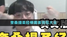 奎桑提圣經梗圖表情包大全