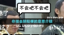 你很會(huì)陰陽梗的意思介紹