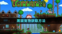 《泰拉瑞亞》國服黑貓寵物獲取方法