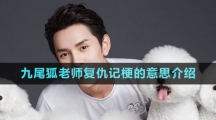九尾狐老師復仇記梗的意思介紹