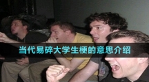 當代易碎大學生梗的意思介紹