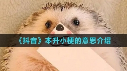 《抖音》本升小梗的意思介紹