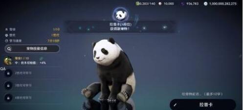 《黑色沙漠手游》熊貓獲得方法