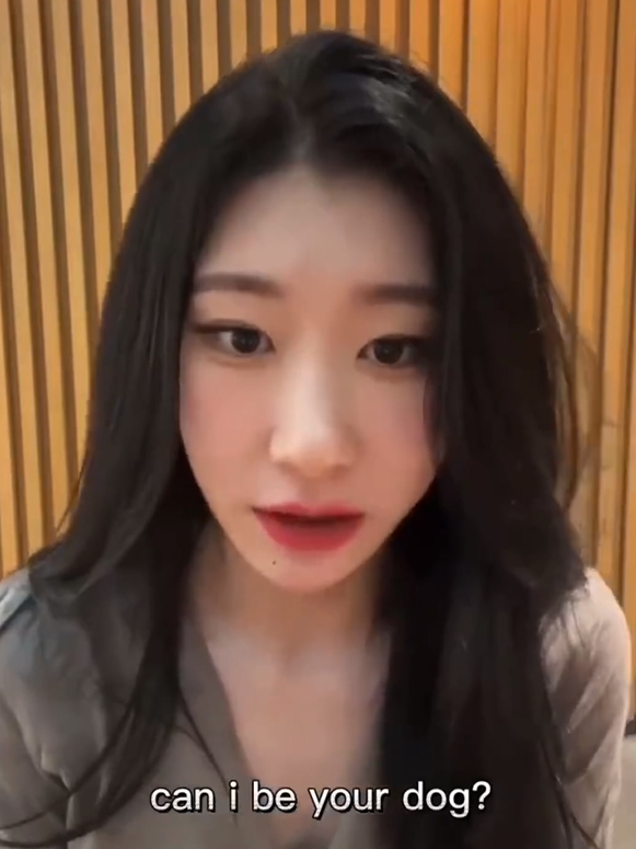 can i be your dog梗出處含義介紹