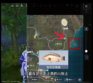 《和平精英》綠洲世界魚類分布圖