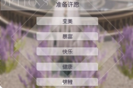 《以閃亮之名》許愿池獲取方法