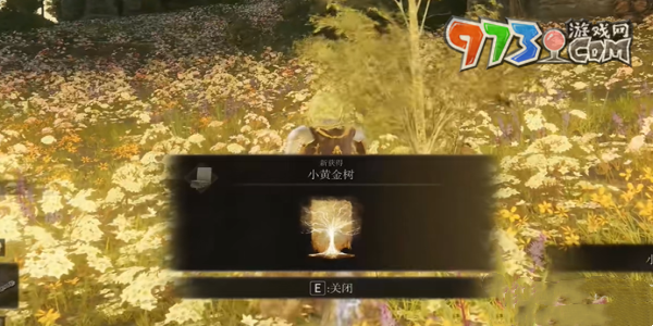 《艾爾登法環(huán)》DLC小黃金樹(shù)獲得方法