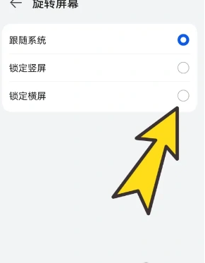 bobo瀏覽器全球通設(shè)置橫屏方法