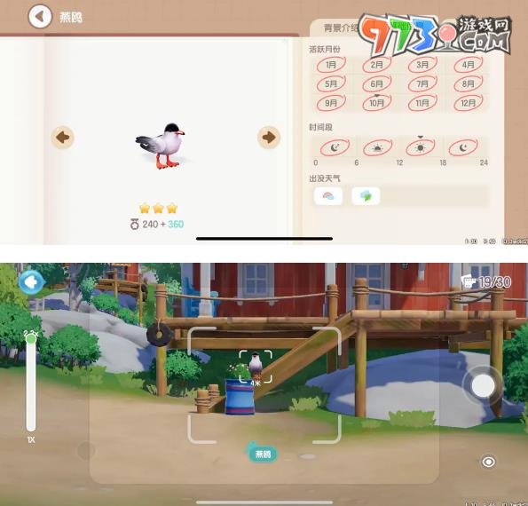 《心動(dòng)小鎮(zhèn)》鳥類捕捉位置