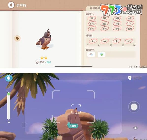 《心動(dòng)小鎮(zhèn)》鳥類捕捉位置